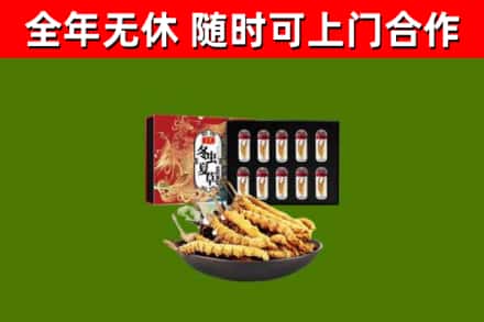 田林县回收冬虫夏草价格